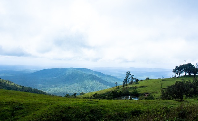 新赛季将是 新赛季将是