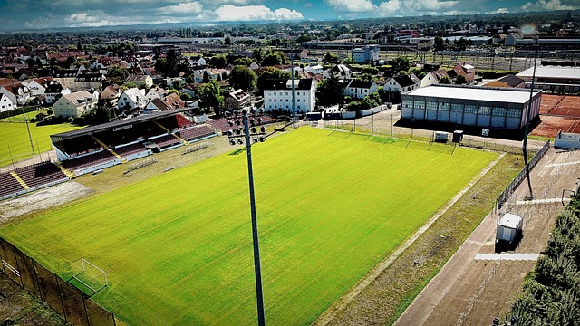 斯的明星球 斯的明星球