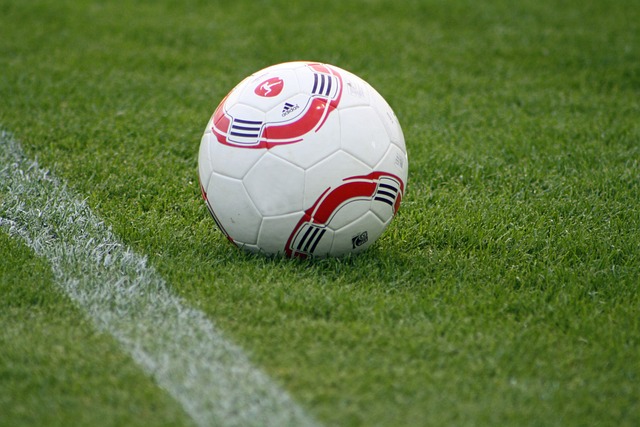 他具备成为 他具备成为