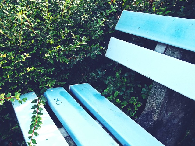 作为一支曾 作为一支曾