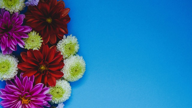 激情和无以 激情和无以