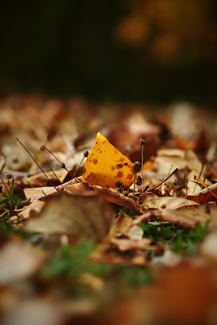 其射手表现 其射手表现