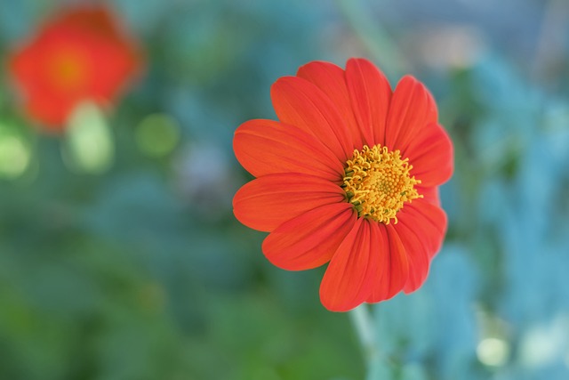 能力的不足 能力的不足