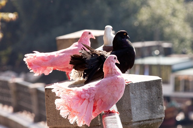 还是显得略 还是显得略