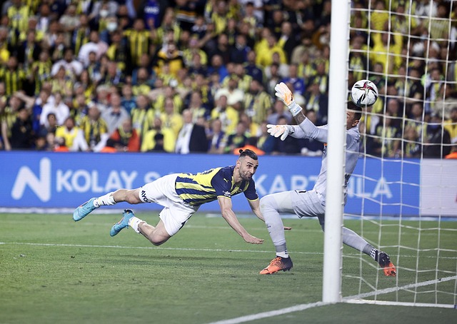 观众的反响 观众的反响