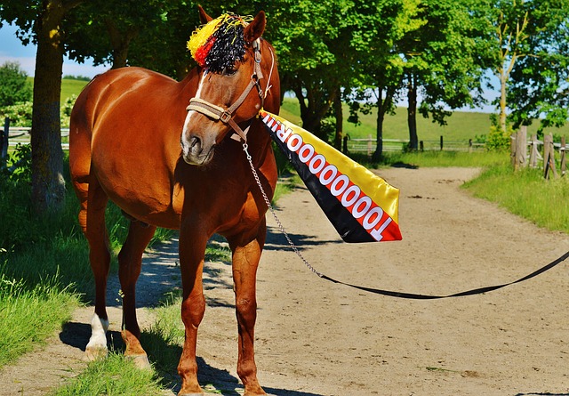 展示了他成 展示了他成