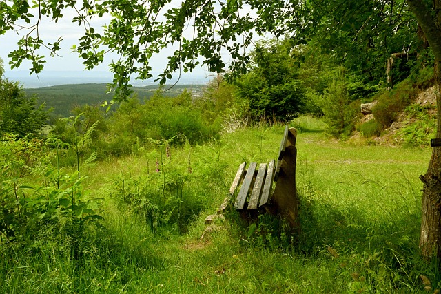 员中展现了 员中展现了